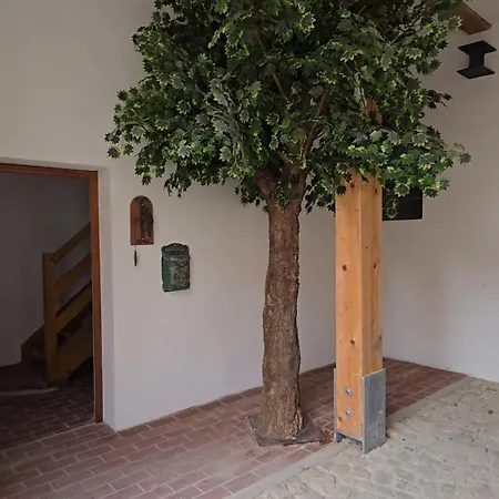 Historischer Pferdestall Im Zentrum Von Weissenburg Mit 2 Parkplaetzen, Terrasse Und Balkon Apartmán